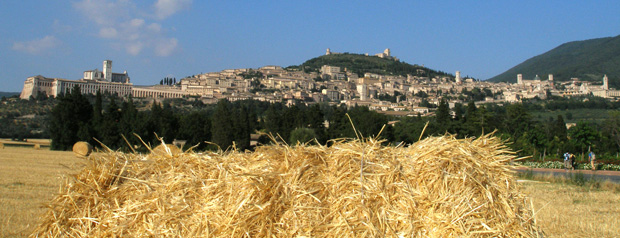 Assisi